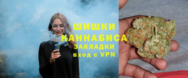 индика Осташков