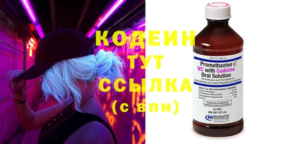 индика Осташков