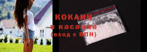 индика Осташков