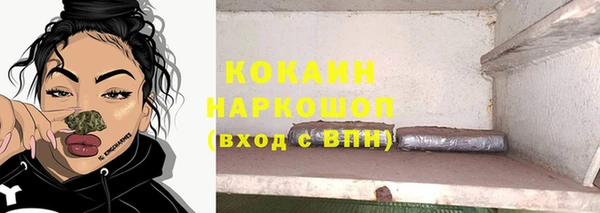 индика Осташков