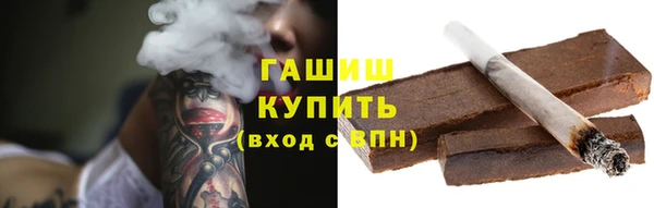индика Осташков