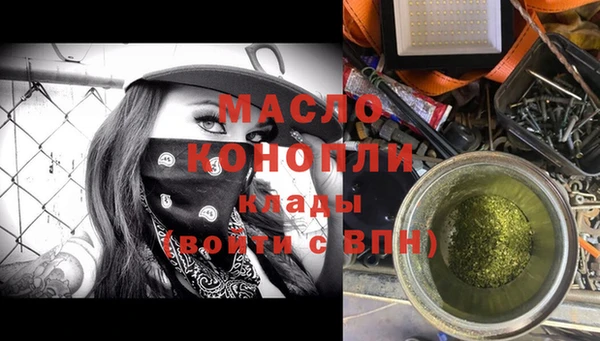 индика Осташков