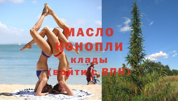 индика Осташков