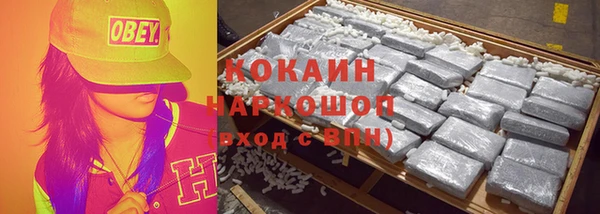 индика Осташков