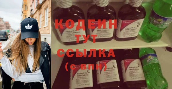 индика Осташков