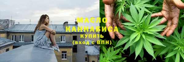 индика Осташков