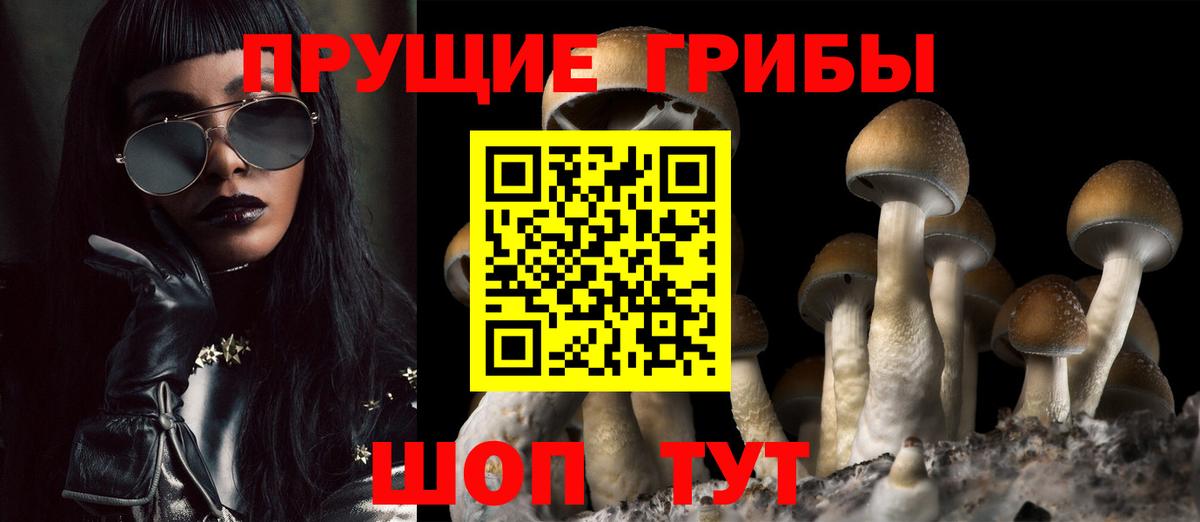 Псилоцибиновые грибы Psilocybine cubensis Россошь