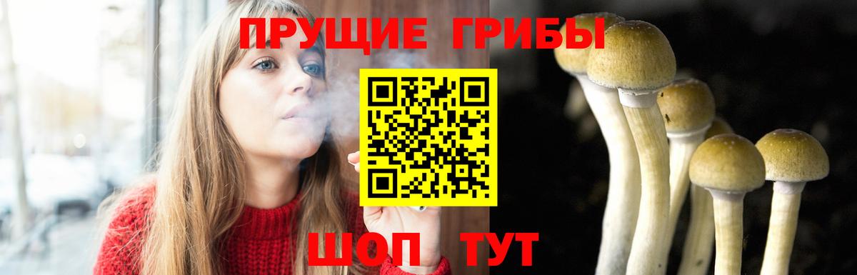 Россошь  Галлюциногенные грибы GOLDEN TEACHER  Вход с VPN 